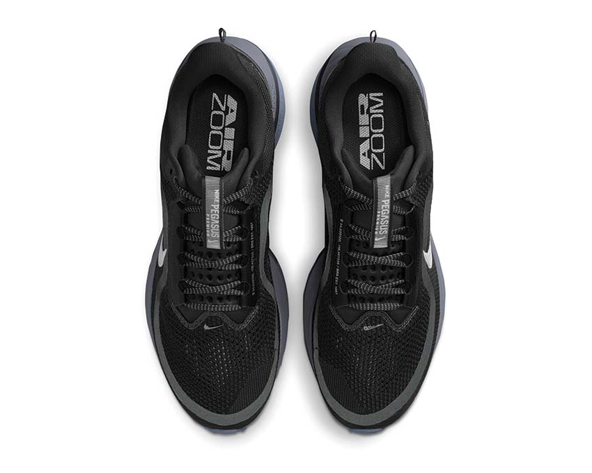 Nike Pegasus Premium "Anthracite"