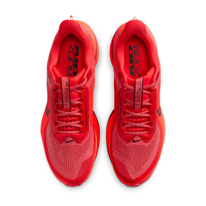Pegasus Premium Men's :Light Crimson | Black